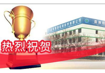 荣获山东省中小企业发展新经济